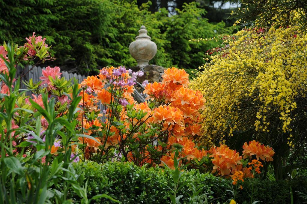 Sulamith Ferienhaus Mit Garten Sankt Kathrein am Offenegg Exterior foto