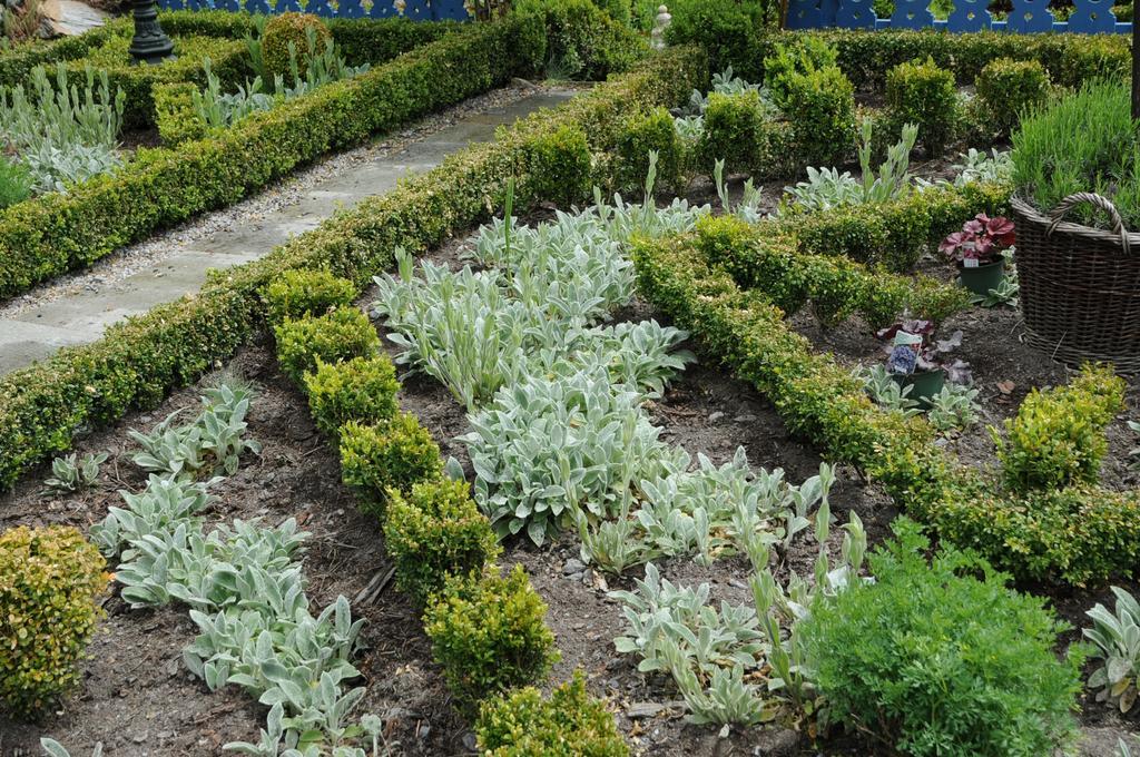 Sulamith Ferienhaus Mit Garten Sankt Kathrein am Offenegg Exterior foto